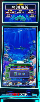 Roulette Table bet316