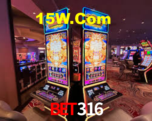 bet316.com